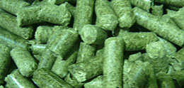Cattle Feed